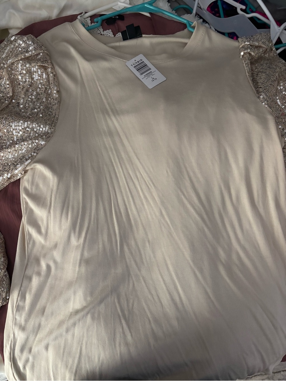 torrid Cream Ribbed Long Sleeve Top with Sequin Puff Sleeves